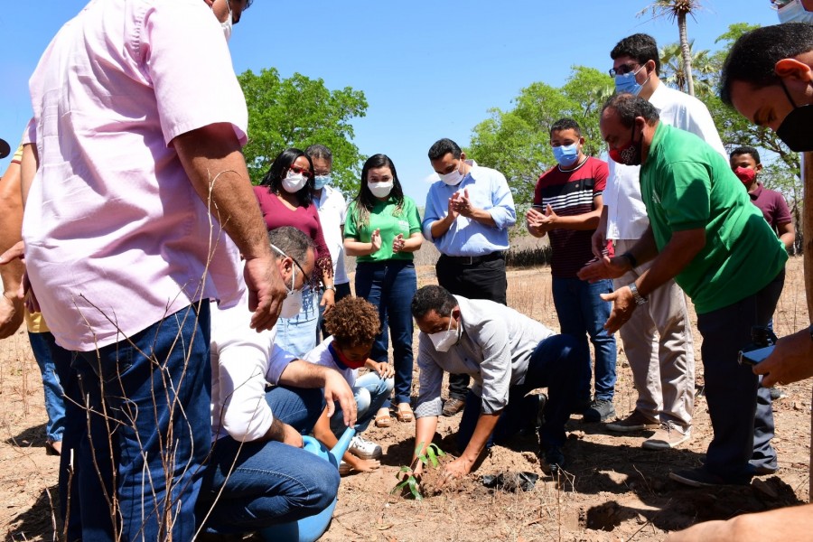 Seman participa de projeto na Vereda Grande em comemoração ao Dia da Árvore