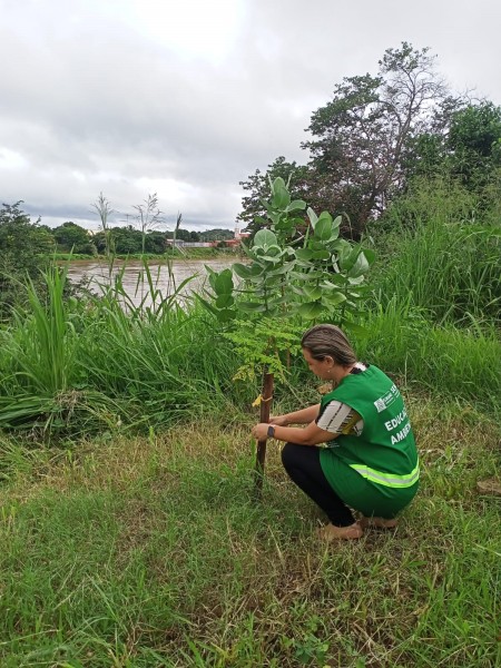SEMAN promove ação de monitoramento de plantios realizados às margens do rio Parnaíba